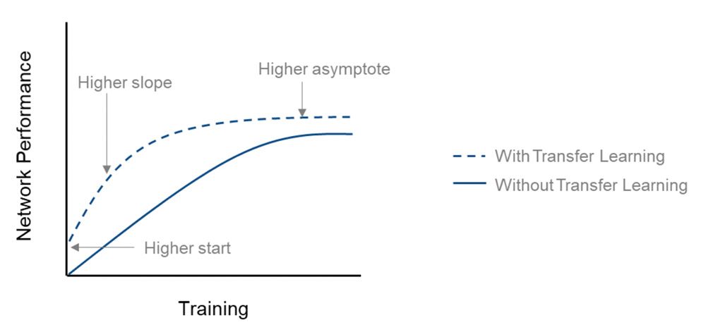 Comparing the network performance (accuracy) of training from scratch and transfer learning.