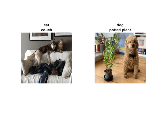 Multilabel Image Classification Using Deep Learning